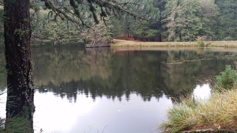 sila national park lake golia calabria